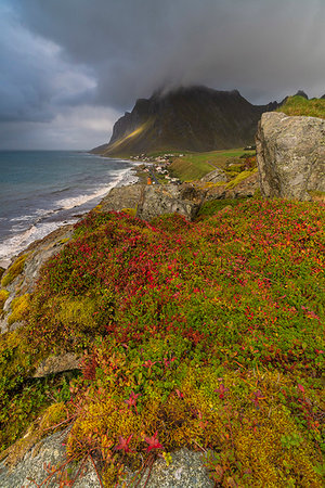 flakstad - Coastline of Vikten, Lofoten Islands, Norway, Europe Foto de stock - Royalty Free Premium, Número: 6119-09252857