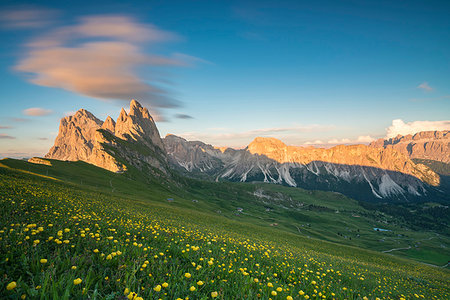 simsearch:6119-09252817,k - Field of globeflowers by Seceda mountain in Ortisei, Italy, Europe Photographie de stock - Premium Libres de Droits, Code: 6119-09253269