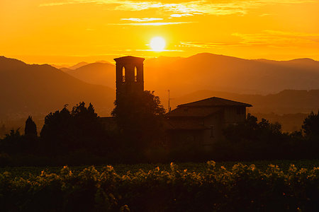 Vineyard at sunset in Franciacorta, Italy, Europe Photographie de stock - Premium Libres de Droits, Code: 6119-09253342