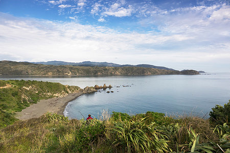simsearch:400-04059397,k - Oruaiti Reserve in Breaker Bay, Wellington, New Zealand, Oceania Photographie de stock - Premium Libres de Droits, Code: 6119-09253359