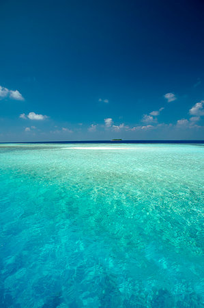 simsearch:6119-08351126,k - Tropical beach, Maldives, Indian Ocean, Asia Foto de stock - Sin royalties Premium, Código: 6119-09253393