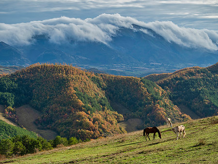 simsearch:6119-08724887,k - Horses grazing by Apennine Mountains in Italy, Europe Photographie de stock - Premium Libres de Droits, Code: 6119-09253304
