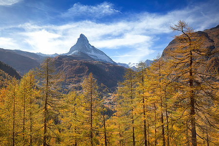 Autumn trees by Matterhorn in Switzerland, Europe Stock Photo - Premium Royalty-Free, Code: 6119-09253335