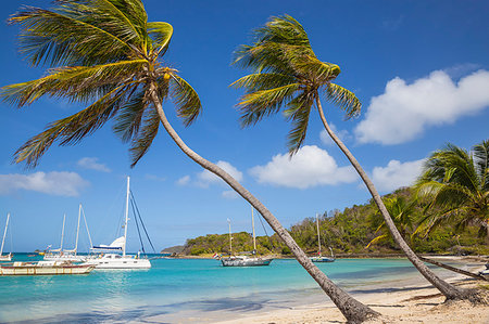 st vincent - Saltwhistle Bay, Mayreau, The Grenadines, St. Vincent and The Grenadines, West Indies, Caribbean, Central America Foto de stock - Sin royalties Premium, Código: 6119-09202752