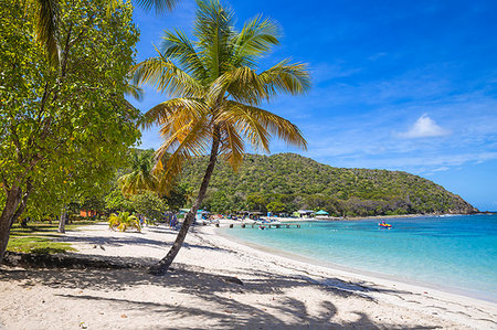 st vincent - Saltwhistle Bay, Mayreau, The Grenadines, St. Vincent and The Grenadines, West Indies, Caribbean, Central America Foto de stock - Sin royalties Premium, Código: 6119-09202754