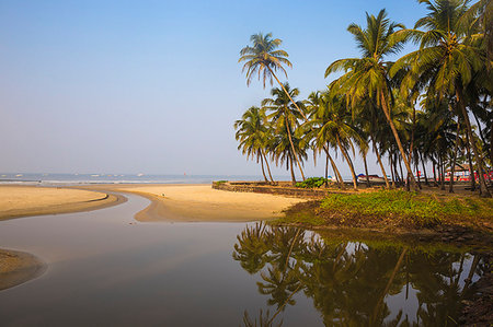 simsearch:6119-08724933,k - Colva Beach, Goa, India, Asia Photographie de stock - Premium Libres de Droits, Code: 6119-09202783