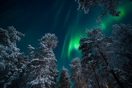 pallas-yllastunturi national park - Aurora Borealis (Northern Lights), Pallas-Yllastunturi National Park, Lapland, Finland, Europe Foto de stock - Sin royalties Premium, Código: 6119-09202797