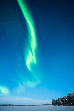 pallas-yllastunturi national park - Aurora Borealis (Northern Lights), Pallas-Yllastunturi National Park, Lapland, Finland, Europe Foto de stock - Sin royalties Premium, Código: 6119-09202796