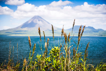 Arenal Volcano, Alajuela Province, Costa Rica, Central America Stock Photo - Premium Royalty-Free, Code: 6119-09202874