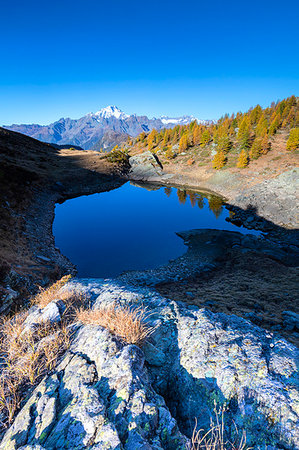 simsearch:841-08781730,k - Lakes of Campagneda surrounded by colorful woods during autumn, Valmalenco, Valtellina, Sondrio province, Lombardy, Italy, Europe Photographie de stock - Premium Libres de Droits, Code: 6119-09202990