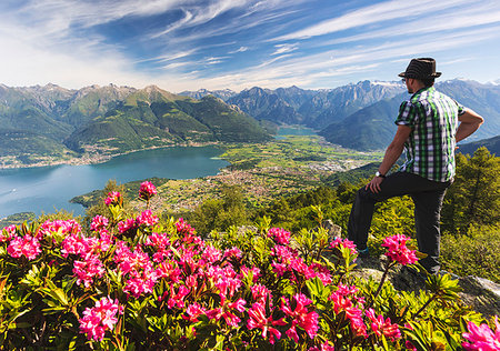 simsearch:6119-09170192,k - Man beside rhododendrons in bloom looks towards Lake Como and Alto Lario, Monte Legnoncino, Lecco province, Lombardy, Italy, Europe Photographie de stock - Premium Libres de Droits, Code: 6119-09203017