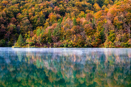 simsearch:879-09033875,k - Details of autumn in Plitvice National Park, UNESCO World Heritage Site, Croatia, Europe Photographie de stock - Premium Libres de Droits, Code: 6119-09203447