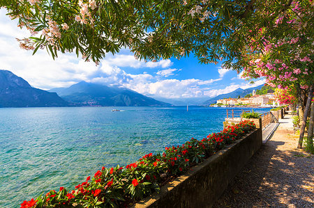 Flowers on the lake side of Bellagio, Province of Como, Lake Como, Italian Lakes, Lombardy, Italy, Europe Photographie de stock - Premium Libres de Droits, Code: 6119-09214130