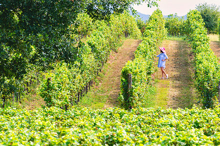 simsearch:841-07355045,k - Woman immersed in the vineyards of Franciacorta, Brescia province, Lombardy, Italy, Europe Foto de stock - Royalty Free Premium, Número: 6119-09214260