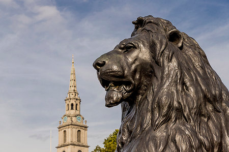 simsearch:845-04826966,k - Lion and St. Martins in the Fields church in the background in Trafalgar Square, London, England, United Kingdom, Europe Foto de stock - Sin royalties Premium, Código: 6119-09214239