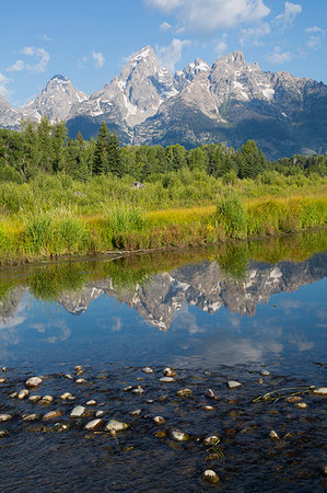 simsearch:6119-09229018,k - Teton Range from Schwabache Landing, Grand Teton National Park, Wyoming, United States of America, North America Photographie de stock - Premium Libres de Droits, Code: 6119-09228996