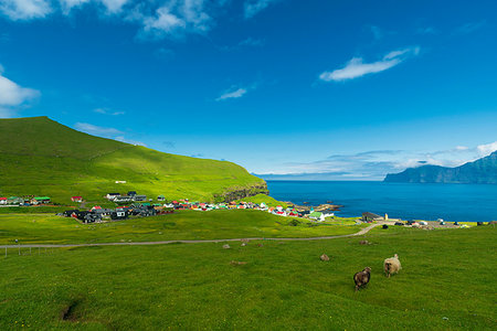 simsearch:6119-09238919,k - Sheep grazing, Gjogv, Eysturoy island, Faroe Islands, Denmark, Europe Photographie de stock - Premium Libres de Droits, Code: 6119-09238652