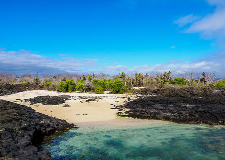 santa cruz island - Beach in the Dragon Hill area, Santa Cruz (Indefatigable) Island, Galapagos, UNESCO World Heritage Site, Ecuador, South America Photographie de stock - Premium Libres de Droits, Code: 6119-09238797