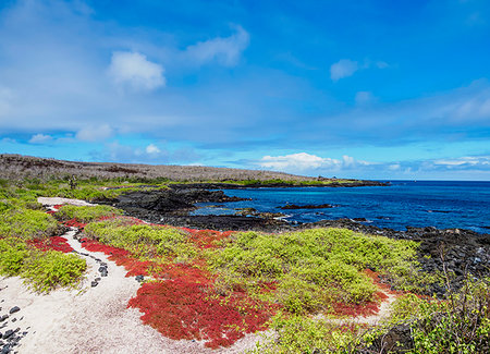 simsearch:6119-09238792,k - Landscape of the coast near Puerto Velazco Ibarra, Floreana (Charles) Island, Galapagos, UNESCO World Heritage Site, Ecuador, South America Foto de stock - Sin royalties Premium, Código: 6119-09238843