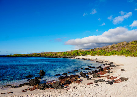 Baquerizo Beach, San Cristobal (Chatham) Island, Galapagos, UNESCO World Heritage Site, Ecuador, South America Foto de stock - Sin royalties Premium, Código: 6119-09238818