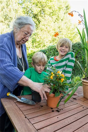 Grandmother repotting plant with her grandsons Photographie de stock - Premium Libres de Droits, Code: 6121-07741227