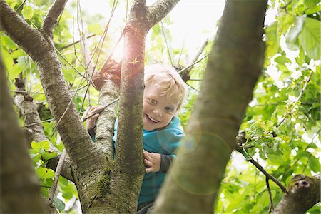 escalada - Young blonde boy in garden playing in cherry tree Foto de stock - Sin royalties Premium, Código: 6121-07809950