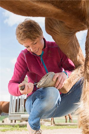 Woman cleaning horse's hoof, Bavaria, Germany Foto de stock - Sin royalties Premium, Código: 6121-08106674
