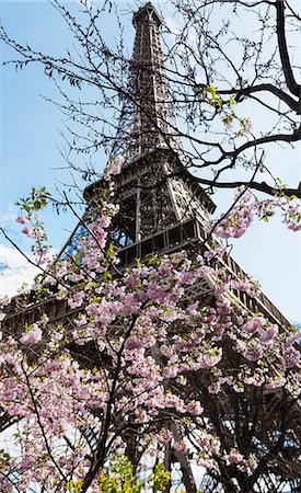 frankreich - Low angle view of Eiffel Tower against sky, Paris, France Stockbilder - Premium RF Lizenzfrei, Bildnummer: 6121-08107021