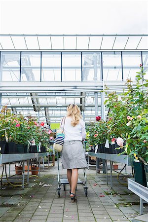 for sale - Mature woman shopping in a garden centre, Augsburg, Bavaria, Germany Stock Photo - Premium Royalty-Free, Code: 6121-08228609
