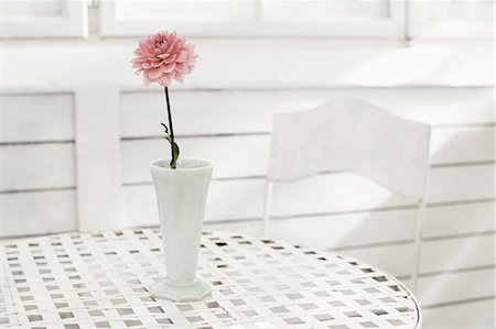 Pink peony flower in vase on table at glass house, Bavaria, Germany Stock Photo - Premium Royalty-Free, Code: 6121-08361587
