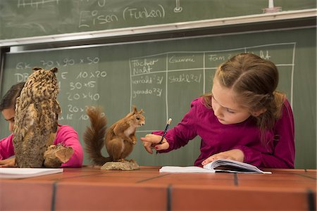 stuffed animal - Schoolgirls writing notes about stuffed animals in biology class, Fürstenfeldbruck, Bavaria, Germany Stock Photo - Premium Royalty-Free, Code: 6121-08361643