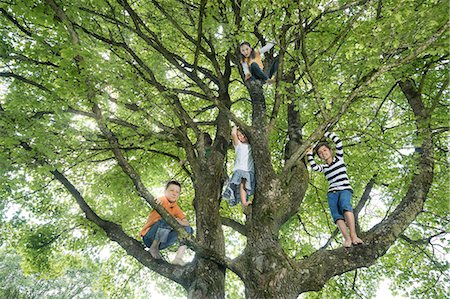 schlampig - Children climbing on tree, Munich, Bavaria, Germany Stockbilder - Premium RF Lizenzfrei, Bildnummer: 6121-08361618