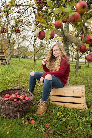 Teenage girl sitting on a crate under an apple tree in an apple orchard farm, Bavaria, Germany Photographie de stock - Premium Libres de Droits, Code: 6121-08522250