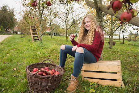 Teenage girl sitting on a crate under an apple tree in an apple orchard farm, Bavaria, Germany Photographie de stock - Premium Libres de Droits, Code: 6121-08522251