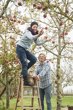 soporte - Woman picking apples from the tree with her friend safeguard the step ladder for her, Bavaria, Germany Foto de stock - Sin royalties Premium, Código: 6121-08522235