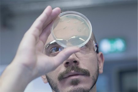 Scientist examining micro organisms in petri dish in a pharmacy laboratory, Freiburg im Breisgau, Baden-Württemberg, Germany Photographie de stock - Premium Libres de Droits, Code: 6121-08522374