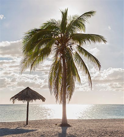 simsearch:6119-08062357,k - Scenic view of Playa Ancon beach and palm tree, Trinidad, Cuba Photographie de stock - Premium Libres de Droits, Code: 6121-09146487