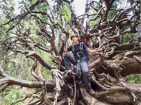 raíz - Girl sitting in the roots of a fallen tree in black forest, Feldberg, Baden-Württemberg, Germany Foto de stock - Sin royalties Premium, Código: 6121-09146804