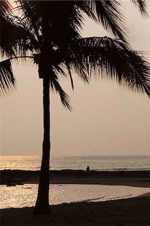 simsearch:614-08383692,k - Palm tree and person on beach at sunset Stock Photo - Premium Royalty-Free, Code: 6122-07694334
