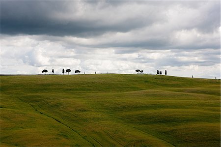 simsearch:6122-07695366,k - Rural landscape of Val d'Orcia, Italy Photographie de stock - Premium Libres de Droits, Code: 6122-07695390