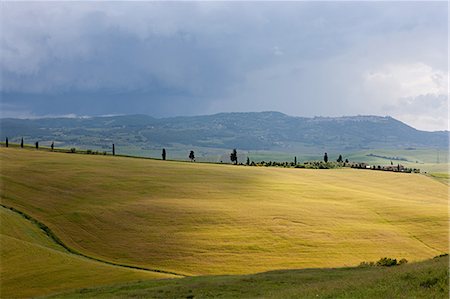simsearch:614-03684291,k - Rural landscape of Val d'Orcia, Italy Photographie de stock - Premium Libres de Droits, Code: 6122-07695391
