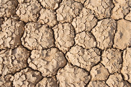 Cracked earth, Northern Cape, South Africa Stock Photo - Premium Royalty-Free, Code: 6122-07696252