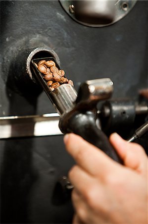 simsearch:649-08145023,k - Man using coffee grinder, close up of coffee beans Stock Photo - Premium Royalty-Free, Code: 6122-07696828