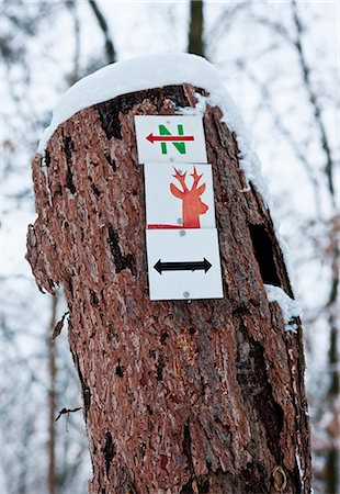 deer snow - Sign on tree trunk Foto de stock - Sin royalties Premium, Código: 6122-07696907