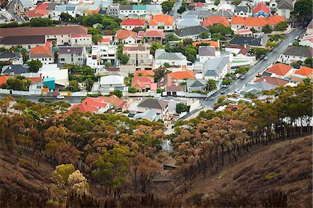 suburbs neighborhood - View from Signal Hill, looking down into Camps Bay area of Cape Town, South Africa Stock Photo - Premium Royalty-Free, Code: 6122-07697449