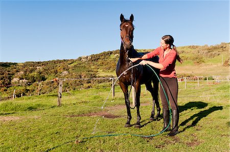 Mid adult woman washing horse with hosepipe Foto de stock - Sin royalties Premium, Código: 6122-07698051