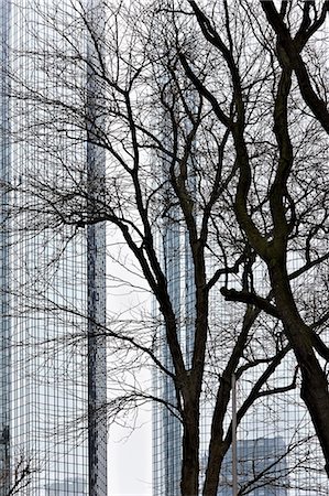 Trees in front of office building Photographie de stock - Premium Libres de Droits, Code: 6122-07698001