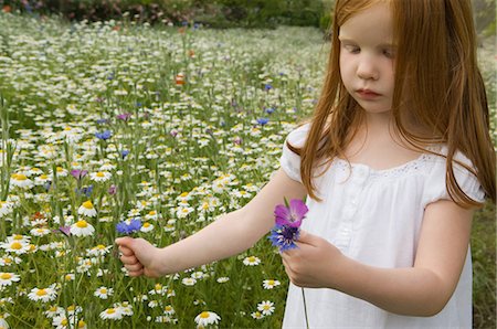 simsearch:6122-07705418,k - Girl picking flowers in field Foto de stock - Sin royalties Premium, Código: 6122-07700553