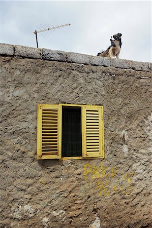 sal - Dog standing on roof of stone house Photographie de stock - Premium Libres de Droits, Code: 6122-07701045