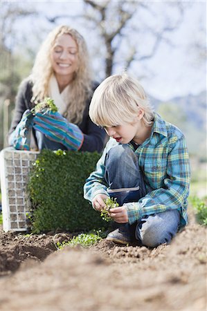 Mother and son planting in garden Photographie de stock - Premium Libres de Droits, Code: 6122-07701655